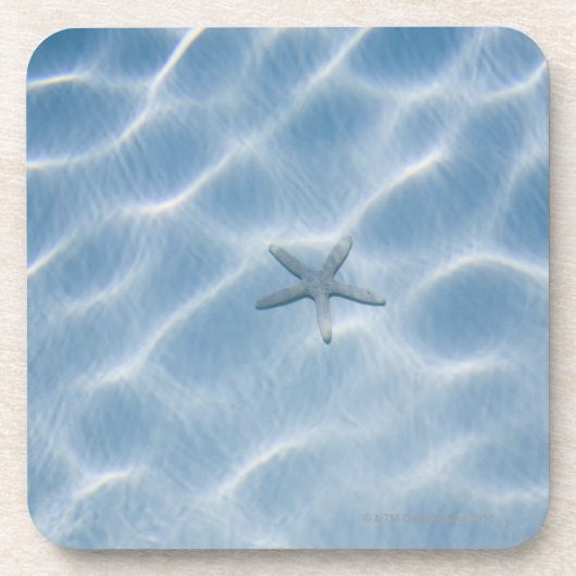 Geplätschertes blaues Wasser mit Starfish Getränkeuntersetzer (Vorderseite)