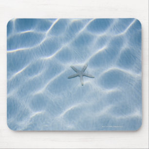 Geplätschertes blaues Wasser mit Starfish Mousepad