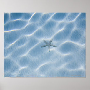 Geplätschertes blaues Wasser mit Starfish Poster