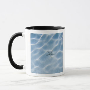 Geplätschertes blaues Wasser mit Starfish Tasse