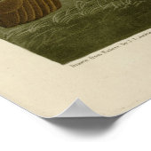 geplumpfte und dickbeinige Partridge Poster (Ecke)