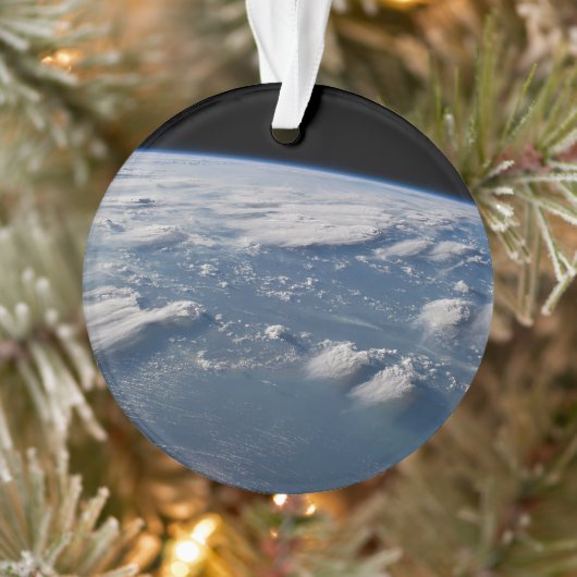 Geplünderte Anvillen der Erde auf Südborneo. Ornament (Baum)