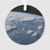 Geplünderte Anvillen der Erde auf Südborneo. Ornament (Rückseite)