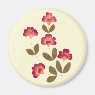 Gepresste helle rosa Rohr-Blumen Magnet