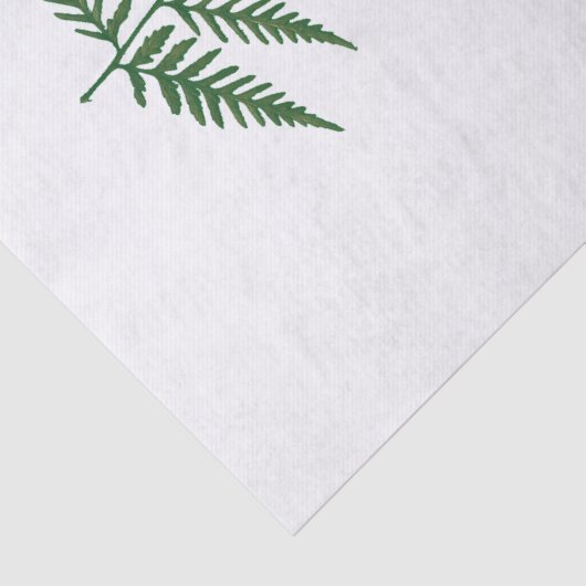 Gepresstes botanisches Farn-Blatt - Mischungs-und Seidenpapier (Detail)