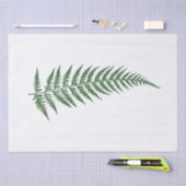 Gepresstes botanisches Farn-Blatt - Mischungs-und Seidenpapier (Handwerk)
