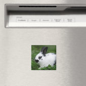 Gepunktet Bunny Magnet (In Situ (Geschirrspüler))