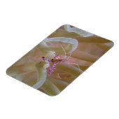 Gepunktet Cleaner Shrimp Magnet (Linke Seite)