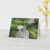 Gepunktet Dove Geburtstagskarte Karte (Gelbe Blume)