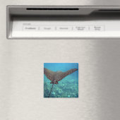Gepunktet Eagle Ray Magnet (In Situ (Geschirrspüler))