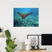 Gepunktet Eagle Ray Poster (Heimbüro)