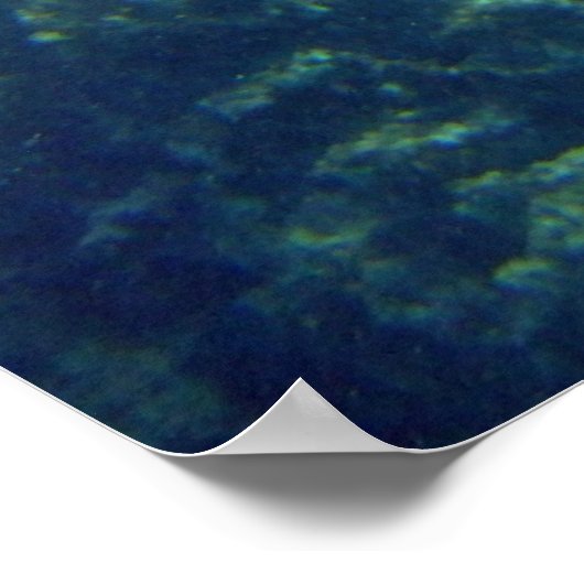 Gepunktet Eagle Ray Poster (Ecke)