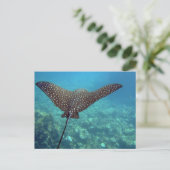 Gepunktet Eagle Ray Postkarte (Stehend Vorderseite)