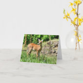 Gepunktet Fawn Karte (Gelbe Blume)