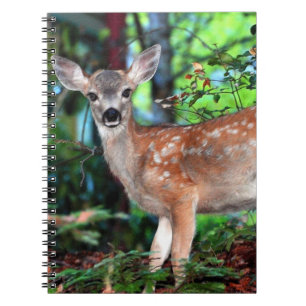Gepunktet Fawn Notizblock
