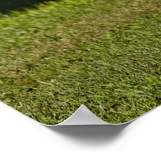 Gepunktet Fawn Poster (Ecke)