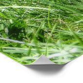 Gepunktet Fawn Poster (Ecke)