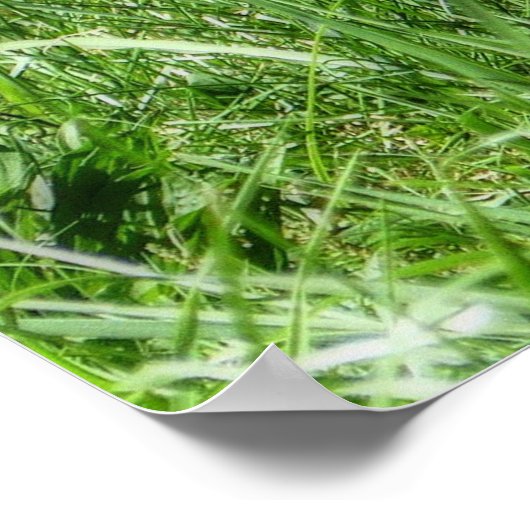 Gepunktet Fawn Poster (Ecke)