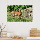 Gepunktet Fawn Poster (Küche)