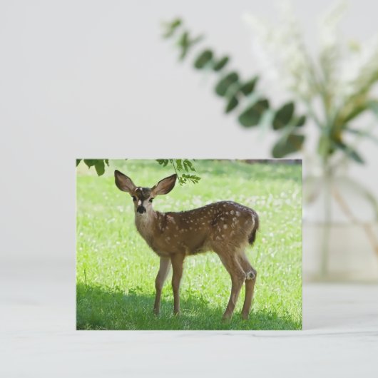 GEPUNKTET FAWN POSTKARTE (Stehend Vorderseite)