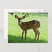 GEPUNKTET FAWN POSTKARTE (Vorne/Hinten)