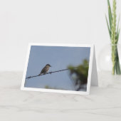 Gepunktet Flycatcher Bird Karte (Vorderseite)