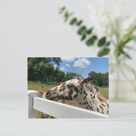 Gepunktet Fohlen Postkarte (Stehend Vorderseite)