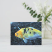 Gepunktet Goldfish Postkarte (Stehend Vorderseite)