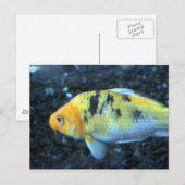 Gepunktet Goldfish Postkarte (Vorne/Hinten)