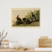 Gepunktet Grous Poster (Küche)