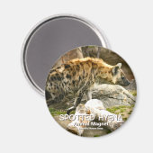 Gepunktet Hyena Magnet (Vorderseite/Rückseite)