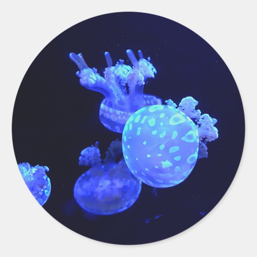 Gepunktet Lagoon Jelly #1 Stickers (Vorderseite)