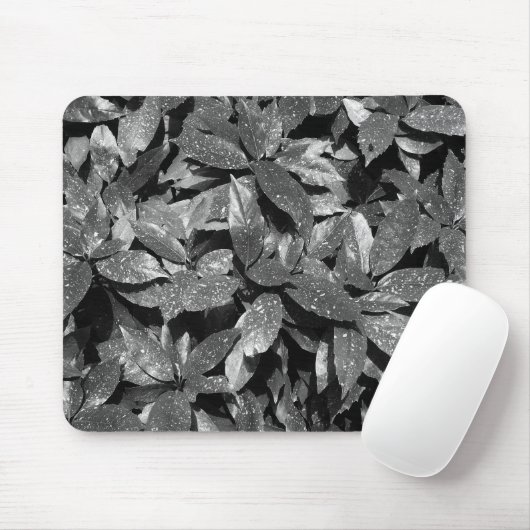 Gepunktet Laurel, Aucuba Japonica - B/W Mousepad (Mit Mouse)