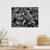 Gepunktet Laurel, Aucuba Japonica - B/W Poster (Küche)