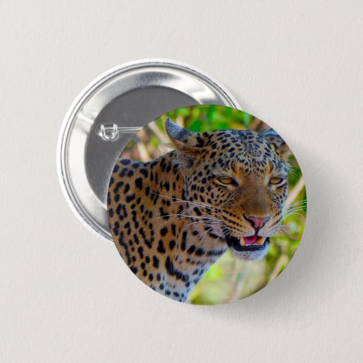 Gepunktet Leopard Button (Vorne & Hinten)