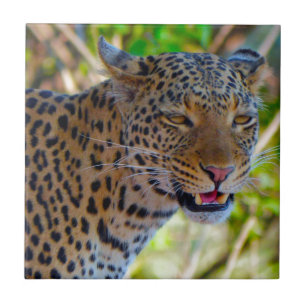 Gepunktet Leopard Fliese