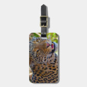 Gepunktet Leopard Gepäckanhänger (Vorderseite vertikal)