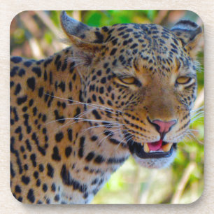 Gepunktet Leopard Getränkeuntersetzer