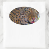 Gepunktet Leopard Ovaler Aufkleber (Tasche)