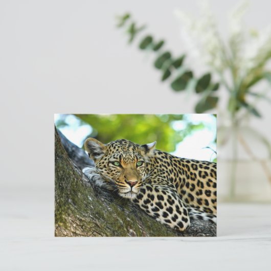 Gepunktet Leopard Postkarte (Stehend Vorderseite)