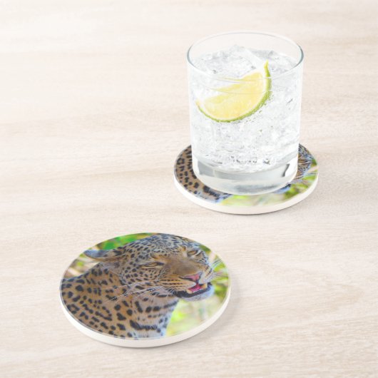 Gepunktet Leopard Untersetzer (Seite)