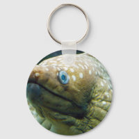 Gepunktet Moray Eel