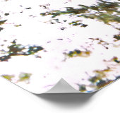 Gepunktet Moray Poster (Ecke)