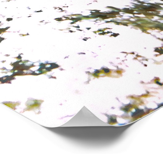 Gepunktet Moray Poster (Ecke)