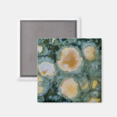 Gepunktet Ocean Jasper Magnet (Vorderseite/Rückseite)