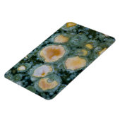 Gepunktet Ocean Jasper Magnet (Linke Seite)