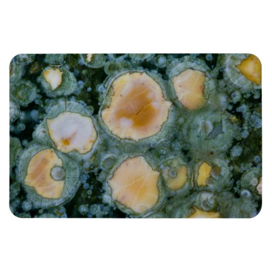 Gepunktet Ocean Jasper Magnet (Horizontal)