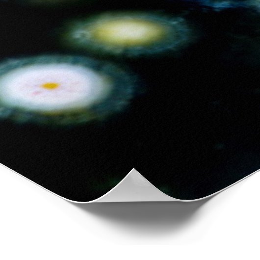 Gepunktet Ocean Jasper Poster (Ecke)