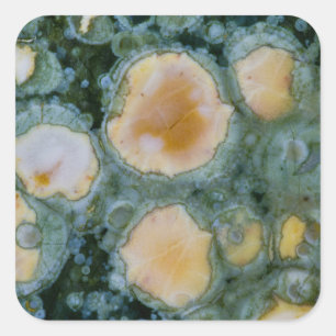 Gepunktet Ocean Jasper Quadratischer Aufkleber