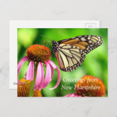 Gepunktet Orange Butterfly_Grüße von NH Postkarte (Vorne/Hinten)